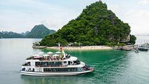 5 Star Pamela Cruise Luxury Day Tour in Halong Bay