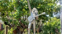 Private Kingston and Bob Marley Museum Tour from Ocho Rios