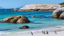 Cape Town Scenic Day Tour By Car