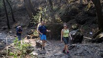 7 Day Trekking Tour from Kathmandu to Langtang Valley