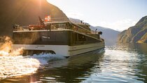 Private guided tour - Premium Nærøyfjord Cruise and Flåm Railway