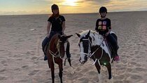 2 Hours of Private Horse Riding Activity in Hurghada