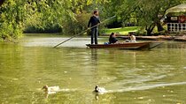 Oxford : Punting - Oxbridge Tours