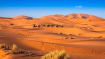 Two Days and One Night Desert Adventure from Marrakech to Zagora