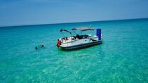 4 Hour Clearwater Beach Private Pontoon Boat Tour 