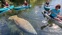 Silver Springs Glass Bottom Kayak Tour