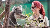 Melbourne Highlights and Aussie Wildlife Express Tour