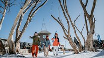 Snowy Escapes Tour Adventure in Mount Buller Alpine Australia
