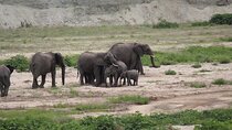 2-Day Mid-Range Safari to Tarangire & Ngorongoro Crater