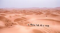 Private 3 Day Trip from Marrakech to Erg Chegaga Desert Journey
