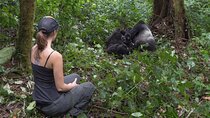 5-Days Uganda Gorilla, Chimp and Wildlife Safari