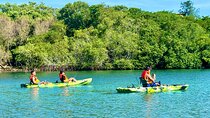 Kayak Activity on Blue Water River at Langosta