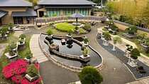 Private Omiya Bonsai Village Tour with Licensed Guide 