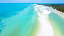 Tour in Holbox with Transportation and Lunch