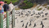 Half day Boulders Penguins and Cape Point Private Tour 
