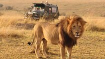 6 Days lodge &camping tour Serengeti ,Tarangire ,Ngorongoro Crater and Manyara