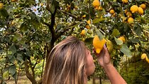 Nonno Mario Sorrento Lemon tour