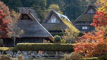 Takayama Private Customizable Full Day Tour