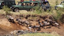 21 Days Kenya Adventure with Tanzania Safari and Diani Beach