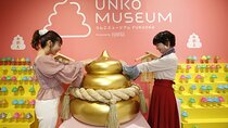 Admission Ticket to Unko Museum in Tokyo