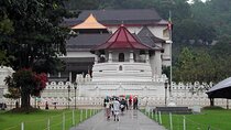 Private All Inclusive Day Tour to Kandy from Colombo and Negombo
