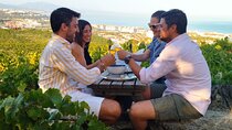Manilva Oceanfront Wine Experience in the Marbella Area