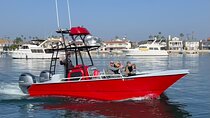 Supreme 2hr Whale/Dolphin Watching Newport Beach, 6 person max
