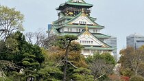 Private Osaka Tour with Hotel Meet Up