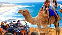 Fun Camel Ride and UTV COMBO with Tequila Tasting!