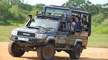 Yala National Park Safari : Special Guided Tour