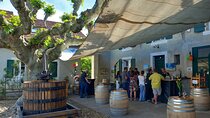 3 Hour Private Tour Countryside Vineyards with Local Wine Tasting