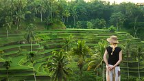 Ubud: Monkey Forest, Temple, Rice Terraces & Waterfall