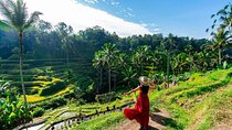 Bali Shore Excursion: Best of Ubud in One Day and Customized Tour
