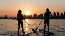Group Intro to SUP in Toronto Island, Canada