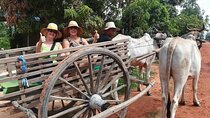 Cambodian Cooking Class and Oxcart Ride with Local Village Tour 