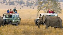 5 Days Nairobi Amboseli Tsavo West and Tsavo East National Park