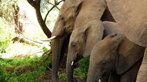 3 Days Samburu National Park Safari All Inclusive