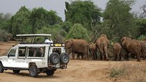 Kenya's Big Five Wildlife 12 Days Safari Tour