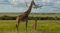 Shared Multi Day Flying Tour from Safari Kenya