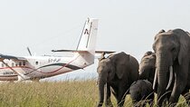 9 Days Wildlife Adventure with Flights and 4x4 Land Cruiser Jeep