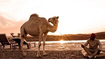 1000 & 1 Night at the Agafay Desert - White Camel Camp Experience