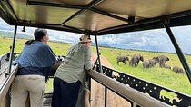 6 Day Big 5 Wildlife Safari Tour on 4x4 Land Cruiser Jeep
