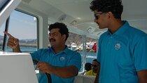 Dolphin Watching and Snorkeling Cruise Experience in Muscat