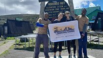 kilimanjaro Marangu Day hike 