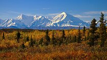 Shared Denali National Park Entrance to Fairbanks Transport