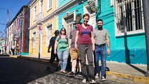 Private tour in Valparaiso from Valparaiso CruiseTerminal to Stgo