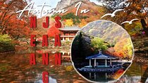 Classic Naejangsan National Park One Day Tour (Autumn Limited）