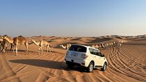 Dubai Desert Safari, Camel Ride, Shisha, Henna, Live BBQ & Shows