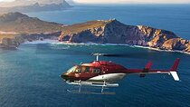Full Peninsula Cape Point Shared Helicopter 48 minutes Day Tour