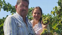 Private Naples Food and Wine Harvest Tour
